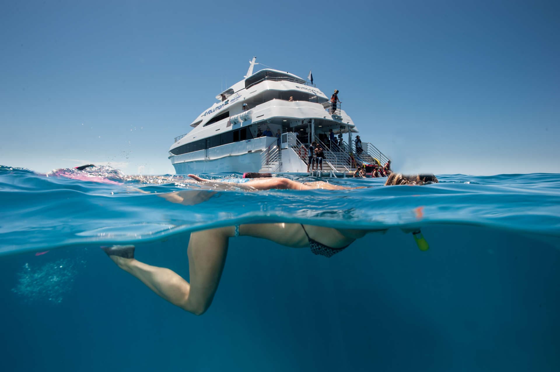 2 Day Reef & Rainforest