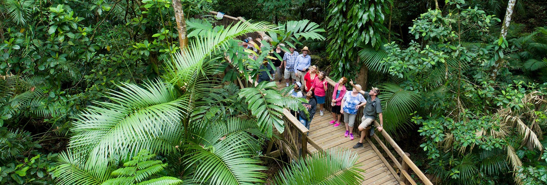 2 Day Reef & Rainforest