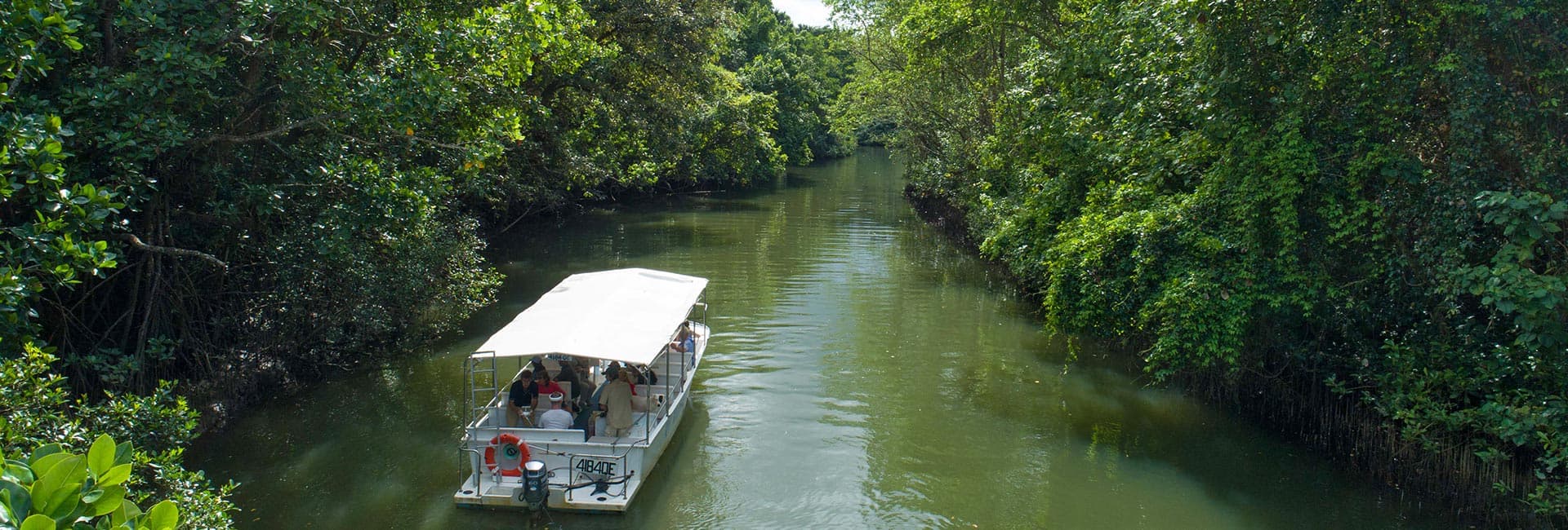 2 Day Reef & Rainforest