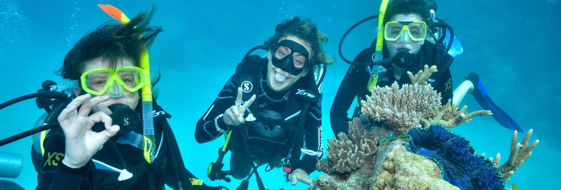 Divers exploring a vibrant coral reef