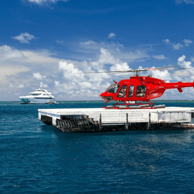 Fly / Cruise - Half Day Trip