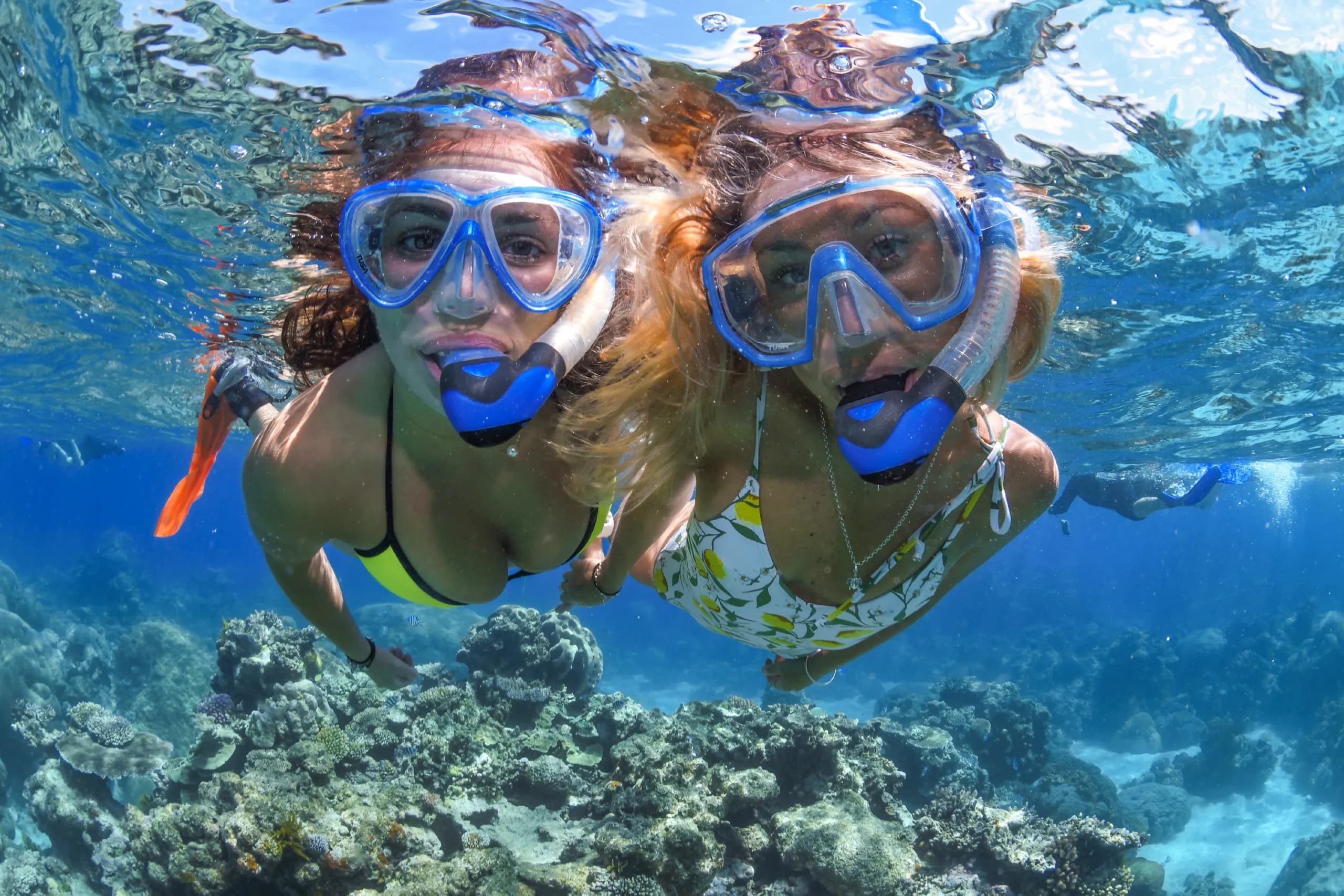 Snorkelling
